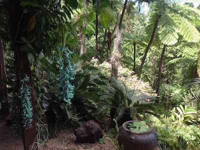 Daintree Holiday Homes - The Folly - A Nature Retreat in The Daintree