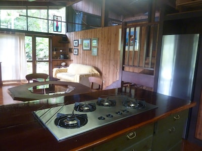 Daintree Holiday Homes - The Folly - A Nature Retreat in The Daintree