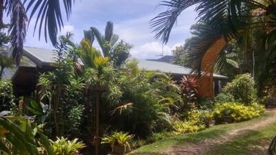 Daintree Holiday Homes - The Folly - A Nature Retreat in The Daintree