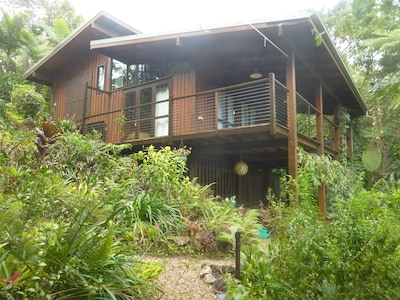 Daintree Holiday Homes - The Folly - A Nature Retreat in The Daintree