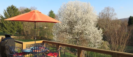 Stunning views from spacious back deck with lots of bird-watching!