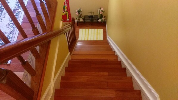 stepsto downstairs 