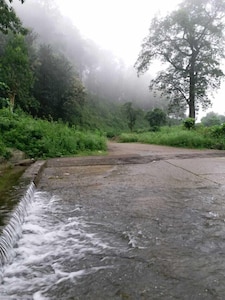 NATURE VIEW RESORT SITUATED ON THE EDGE OF JIM CORBETT FOREST.