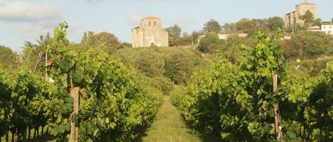 The Gite sits between an Abbey & a Chateau!