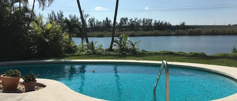 View of our lake from the back of the house, wonderful view!
