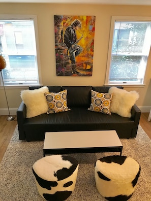 Queen Size Sofa Bed in the Living Room