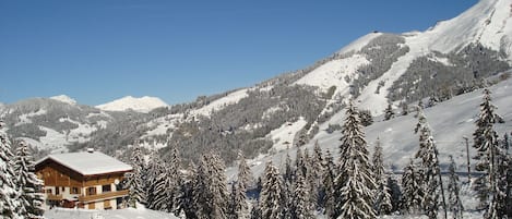 Sneeuw- en skisporten