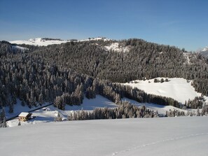 Wintersport/Ski