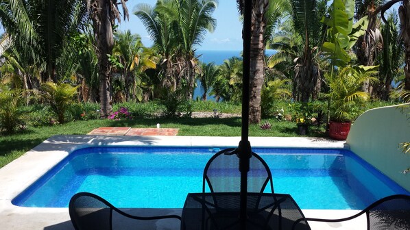 Pool and Patio with view