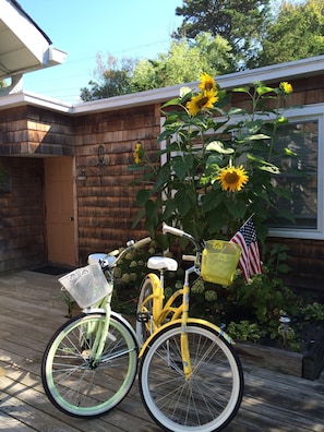 Bikes and sunflowers,  front door