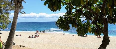 Plage de Boucan CAnot