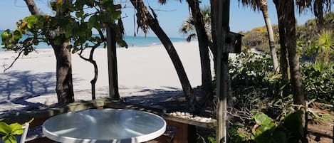 View of the beach from the deck, looking north.