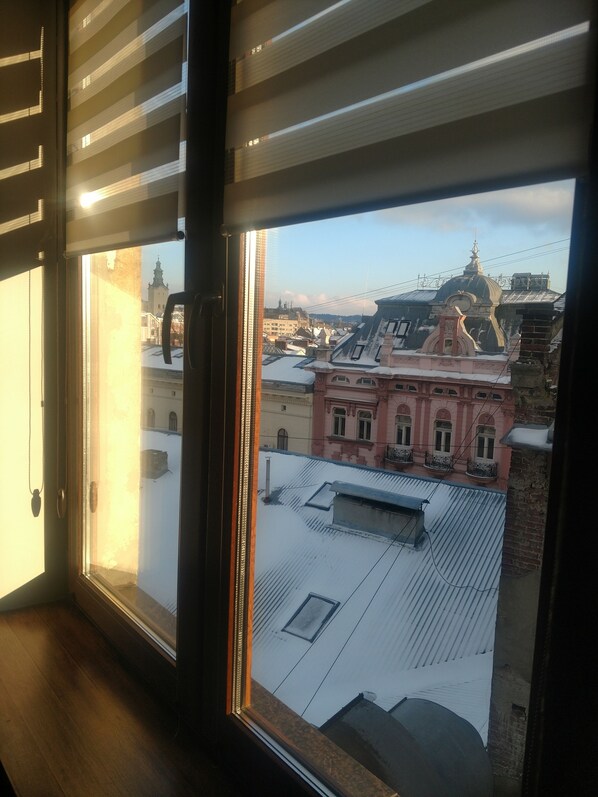 View from the bedrom, Potoski Palace and other palaces