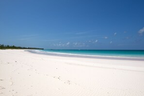 World-famous French Leave Beach is 50 yards from Salty Dolphin House.