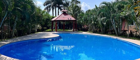 Amazing pool to relax and enjoy the Sun