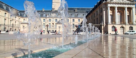 Spend your time exploring exciting Dijon!