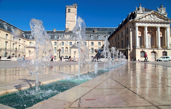 Spend your time exploring exciting Dijon!