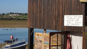 buy fresh seafood on the estuary walk