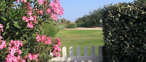 accès à la plage par la pelouse
