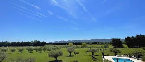 Vacation rental in Saint Rémy de Provence- view of the Alpilles