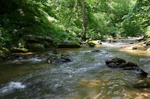 Elk Creek listed as Outstanding Resource of Water by State of NC-clean 