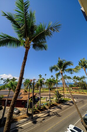 Lanai View