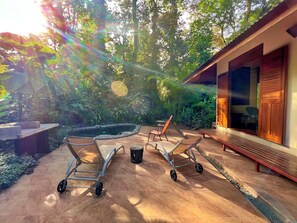 Jungle, plunge pool and terrace
