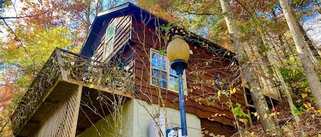 Hootowl cabin, mountain views in the forest. Point Lookout Vineyards very close!