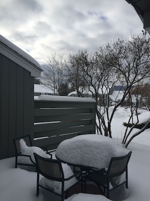 Back deck-winter