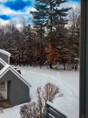 Back yard