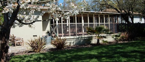 View of back yard and patio in Spring.