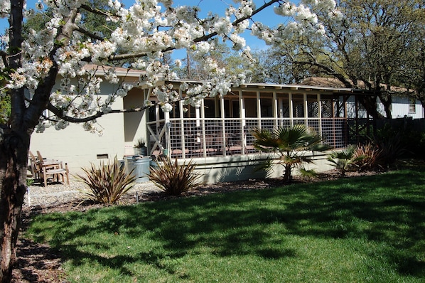 Terrass/Patio