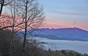Our views are simply the best