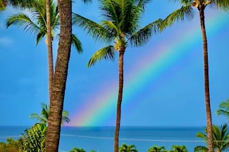 Time to go to Maui $125. per night! May and June only. Ocean view!