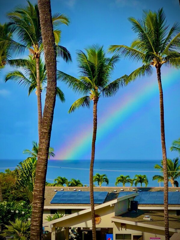 Rainbow From Lanai