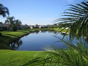 View South over Lake.