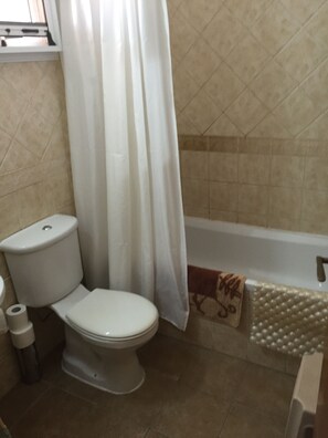 Toilet with shower and bath