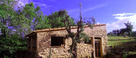 La casa y la entrada, vista  desde el camino rural que pasa delante. 
Estamos a 