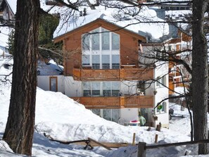 Schnee, Gebäude, Pflanze, Fenster, Baum, Haus, Steigung, Tür, Holz, Biome