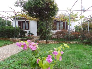 external view