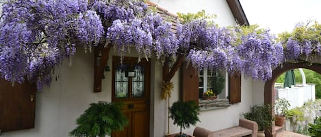 Les Glycines, maison de charme au calme à 20 minutes de Colmar ou de Mulhouse.