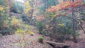 Beautiful Fall Colors at the Cabin