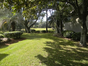 side yard common area