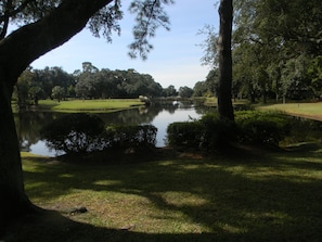 lagoon and putting green view from backyard