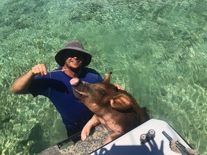 My husband feeding his new fat friend. Our Captain will take you to the pigs!!!