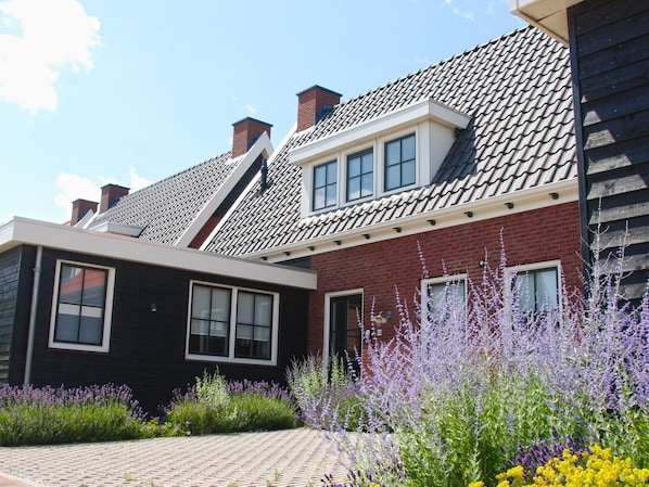 Plante, Ciel, Fenêtre, Bâtiment, Propriété, Nuage, Maison, Fleur, Architecture, Herbe