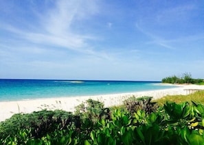 Our beach, world-famous French Leave Beach