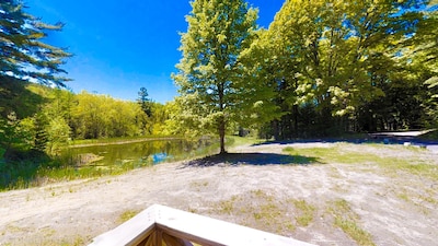 Private Cabin Nestled Within Protected Forest Overlooking Large Spring Fed Pond!