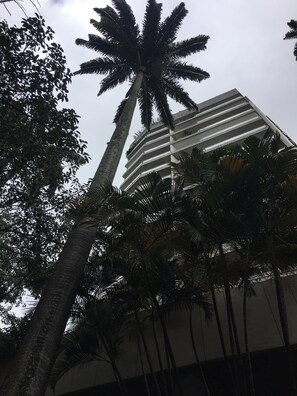 STREET VIEW OF THE  PENTHOUSE BUILDING