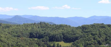 Back Deck View